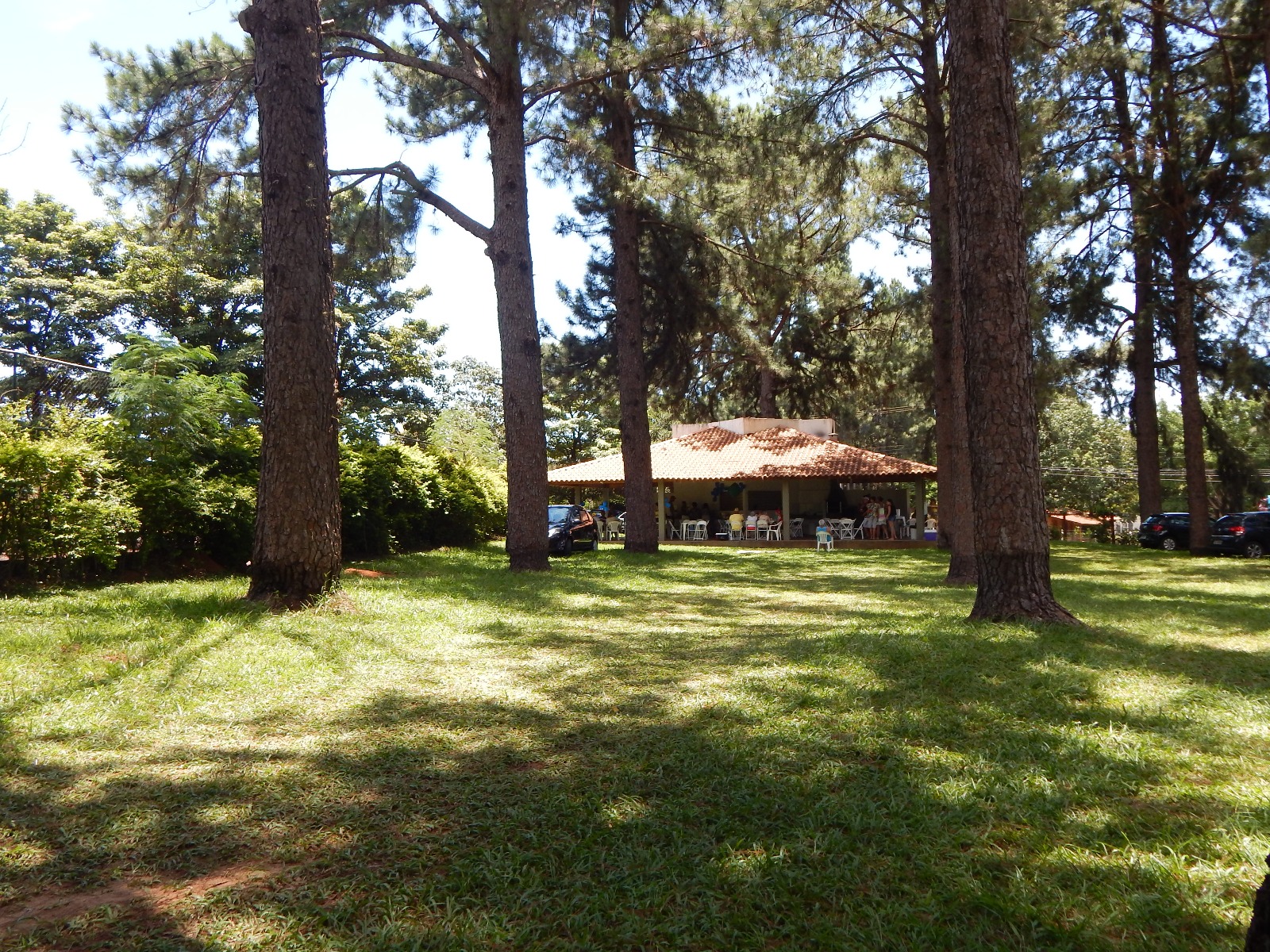 Área verde próximo ao Quiosque - Sede de Campo