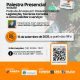 Poda de Árvores em Passeios Públicos: Legislação, técnicas corretas e como solicitar o serviço!